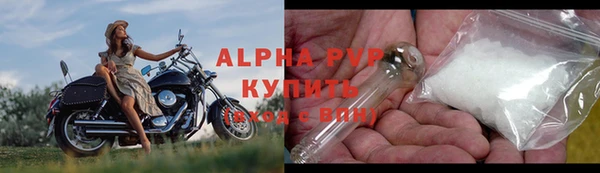 ECSTASY Иннополис