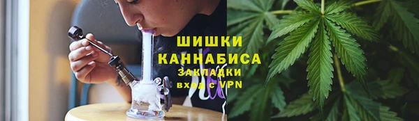 прущая мука Каменка