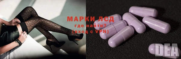 эйфоретик Инсар
