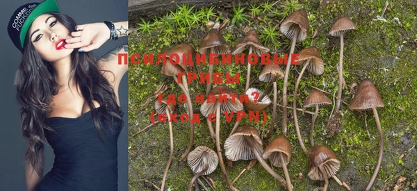 мяу мяу кристалл Каменногорск