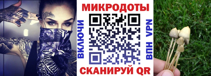 Купить  Мосальск  Галлюциногенные грибы мицелий 